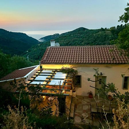 Olive Mill Cottage Bandar Skopelos Luaran gambar